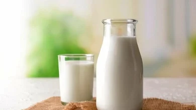 چند تصور غلط درباره شیر که باید آنها را کنار بگذاریم