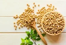 در مصرف سویا احتیاط کنید